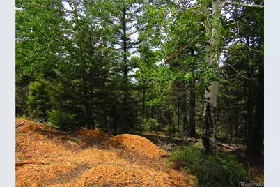 Lot 6029 Spruce Road, San Luis, CO 81152 - Photo 9