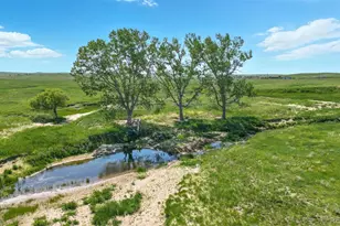 Parcel #4 County Road 91, Ramah, CO 80832 - Photo 1
