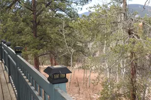 426 Houston St, Bailey, CO 80421 - Photo 41