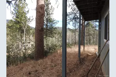 426 Houston Street, Bailey, CO 80421 - Photo 33