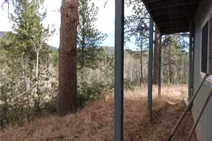 426 Houston St, Bailey, CO 80421 - Photo 33