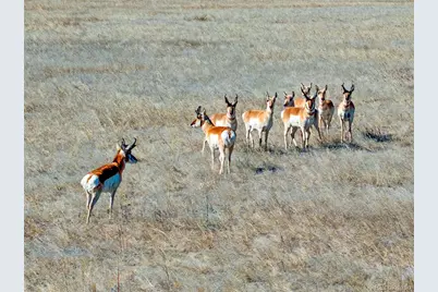 Parcel 2 S County Road 185, Byers, CO 80103 - Photo 3