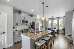4355 Cyan Cir, Castle Rock, CO 80109 - Photo 9