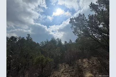 3152 Chris Crossover, Canon City, CO 81212 - Photo 13