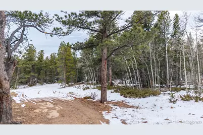 190 Hard Way Road, Ward, CO 80481 - Photo 27