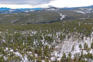 190 Hard Way Rd, Ward, CO 80481 - Photo 1