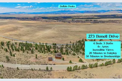 273 Bonell Drive, Fairplay, CO 80440 - Photo 45