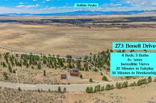 273 Bonell Dr, Fairplay, CO 80440 - Photo 45