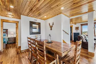 273 Bonell Dr, Fairplay, CO 80440 - Photo 19