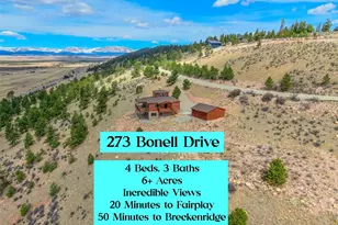 273 Bonell Dr, Fairplay, CO 80440 - Photo 5