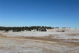 Lot 1 County Road 27, Elizabeth, CO 80107 - Photo 1