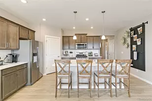 14289 Beebalm Ave, Parker, CO 80134 - Photo 9