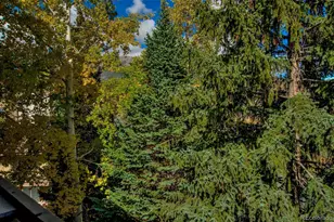 906 Meadow Creek Dr, Frisco, CO 80443 - Photo 43
