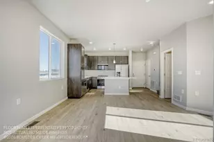 16563 Peak St, Broomfield, CO 80023 - Photo 15