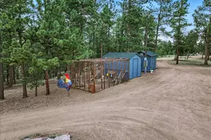 1721 Wildhorn Rd, Florissant, CO 80816 - Photo 45