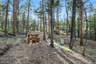 1721 Wildhorn Road, Florissant, CO 80816 - Photo 35