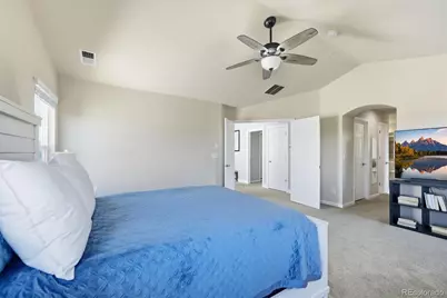 731 Briar Haven Drive, Castle Rock, CO 80108 - Photo 25