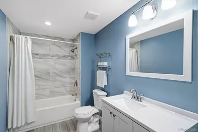 731 Briar Haven Drive, Castle Rock, CO 80108 - Photo 39