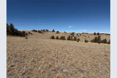 367 Arikara Trail, Hartsel, CO 80449 - Photo 13