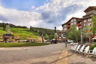 45 Beeler Pl, Frisco, CO 80443 - Photo 33