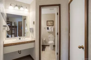 45 Beeler Pl, Frisco, CO 80443 - Photo 19