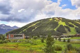 45 Beeler Pl, Frisco, CO 80443 - Photo 29