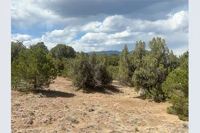 Cr 530, Walsenburg, CO 81089 - Photo 9