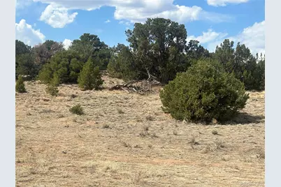 Cr 530, Walsenburg, CO 81089 - Photo 17