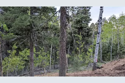 13910 Boulder Lane, Larkspur, CO 80118 - Photo 7