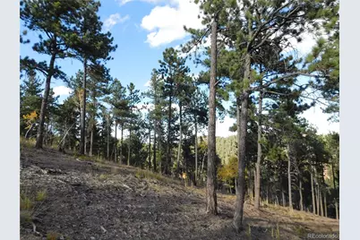 13910 Boulder Lane, Larkspur, CO 80118 - Photo 3