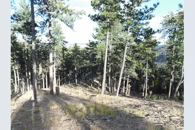 13910 Boulder Lane, Larkspur, CO 80118 - Photo 43