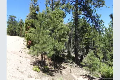 13910 Boulder Lane, Larkspur, CO 80118 - Photo 23