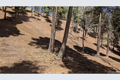 13910 Boulder Lane, Larkspur, CO 80118 - Photo 19