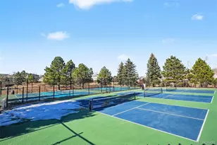 469 Whisper Wind Ln, Castle Rock, CO 80104 - Photo 31