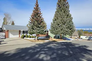 602 Dexter St, Leadville, CO 80461 - Photo 1