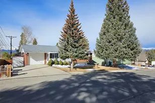 602 Dexter St, Leadville, CO 80461 - Photo 3