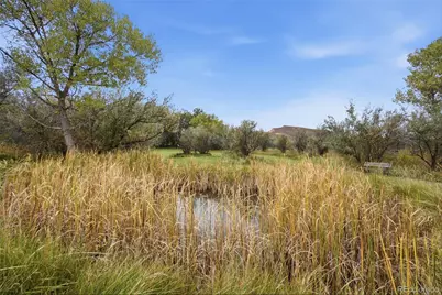 4332 W County Road 54G, Laporte, CO 80535 - Photo 15