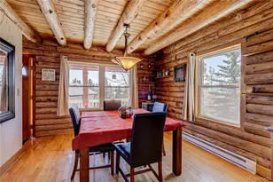 11142 Conifer Mountain Rd, Conifer, CO 80433 - Photo 19