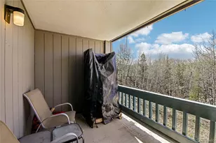 101 Ryan Gulch Ct, Silverthorne, CO 80498 - Photo 17