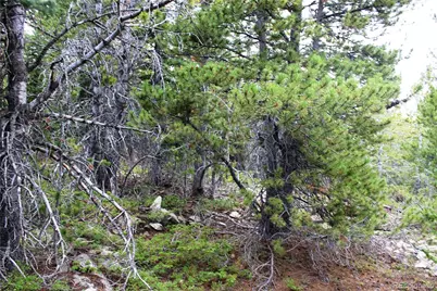 5285 Lucy Agnes, Black Hawk, CO 80422 - Photo 5