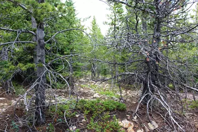 5285 Lucy Agnes, Black Hawk, CO 80422 - Photo 3