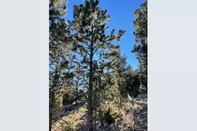 00 Tarryall Road, Hartsel, CO 80449 - Photo 3