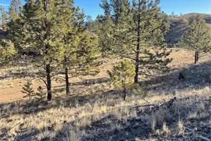 00 Tarryall Rd, Hartsel, CO 80449 - Photo 1