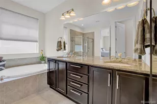 4178 Red Bird Ct, Castle Rock, CO 80108 - Photo 23