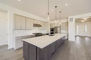 348 Agoseris Wy, Castle Rock, CO 80104 - Photo 7