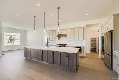 348 Agoseris Way, Castle Rock, CO 80104 - Photo 9