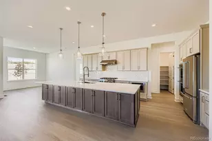 348 Agoseris Wy, Castle Rock, CO 80104 - Photo 9