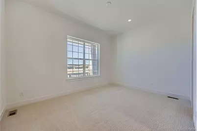 348 Agoseris Way, Castle Rock, CO 80104 - Photo 19