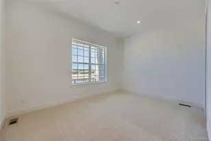 348 Agoseris Wy, Castle Rock, CO 80104 - Photo 19