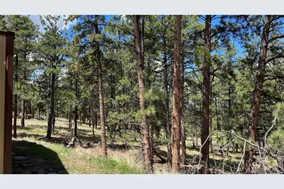 207 Little Bear Drive, Westcliffe, CO 81252 - Photo 7